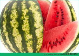 911每日吃瓜爆料,追踪热点事件，解码幕后真相